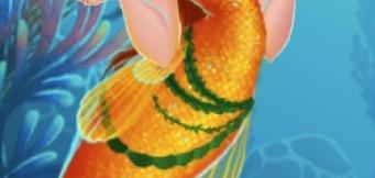 Mermaid looking